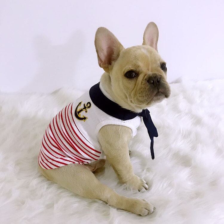 犬 服 フレブル タンクトップ セーラー服フレンチブルドッグ 犬服