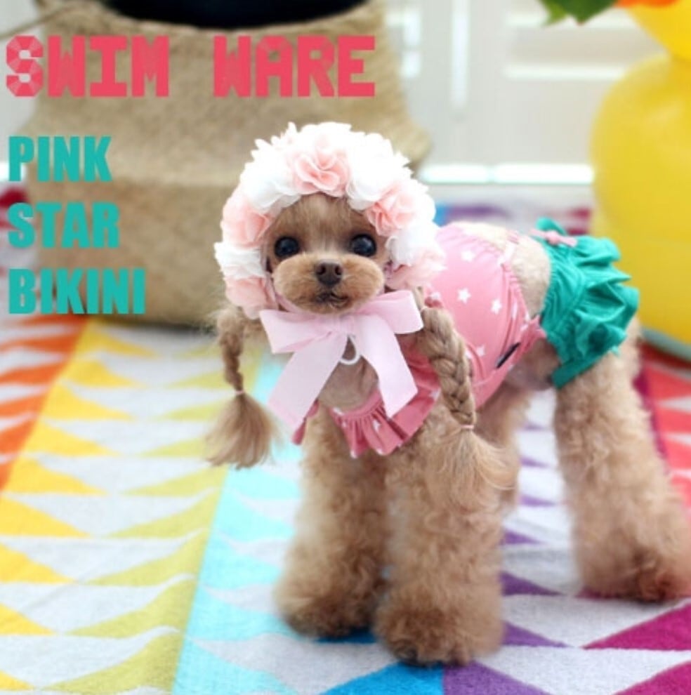 予約【HAPPYJJANGGU】Pink Star Bikini