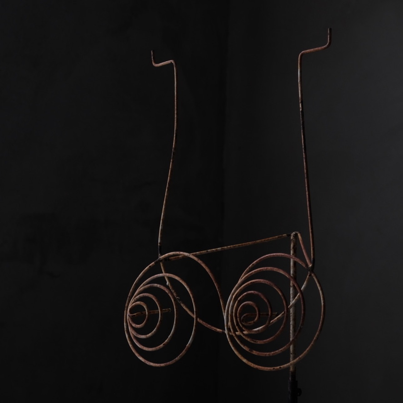 Torso