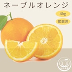 ネーブルオレンジ 4kg【1月下旬〜2月上旬頃から発送開始予定】