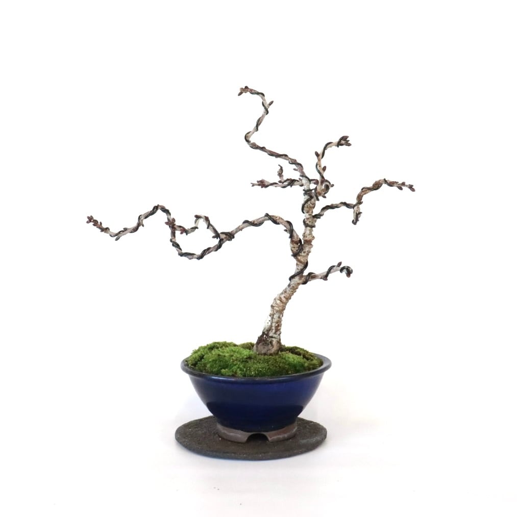盆栽工房WABI