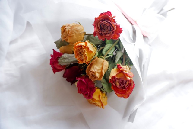【受注生産】12本のバラ　ダズンローズ（mix）/ 結婚式　プロポーズ　記念日　誕生日　ホワイトデー