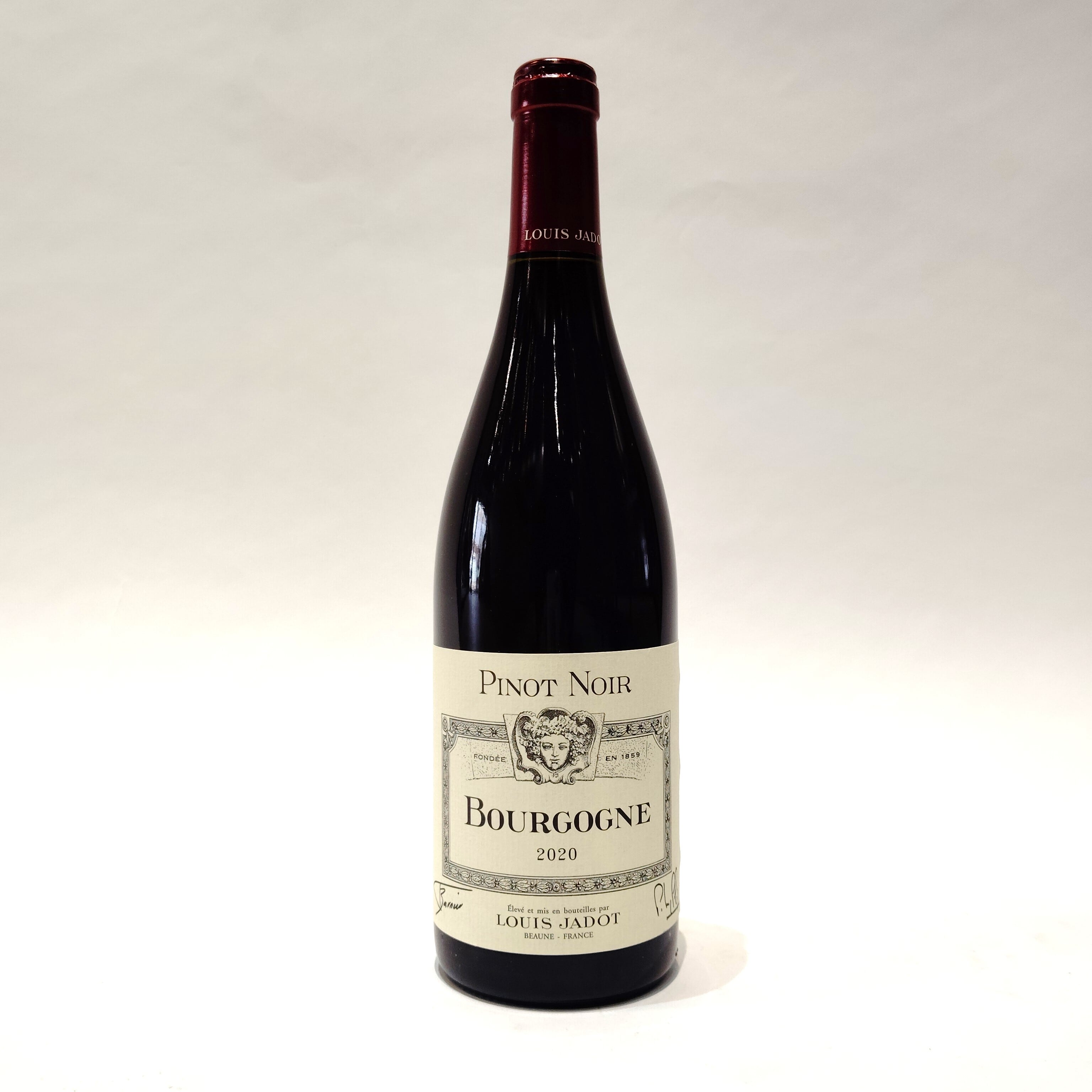 【ソンジュドバッカス・ブルゴーニュ・ピノノワール2020年】LOUIS JADOT 13度 750ml