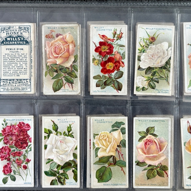 ✦-✦フルセット50枚 花 薔薇✦-✦ 英国 ヴィンテージ シガレットカード イギリス 英国  2604005-3