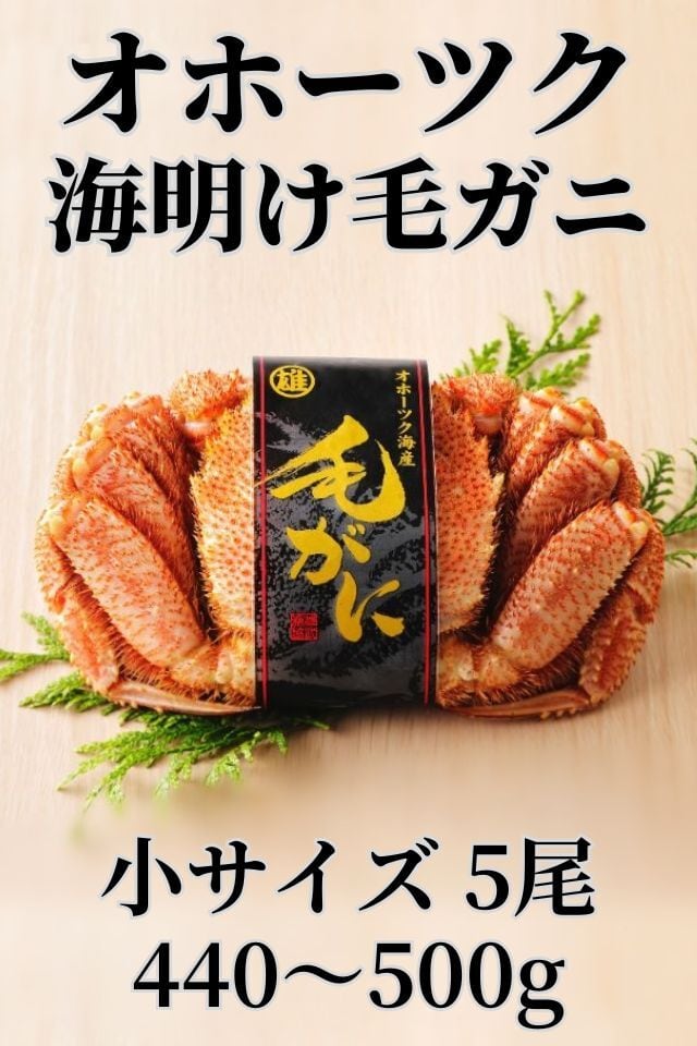 北海道オホーツク産 冷凍ホタテ貝柱 1kg 3Sサイズ 解凍してお刺し身が