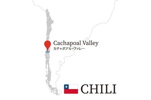 レセルバ・プリバダ メルロ／Reserva Privada Merlot（N17）