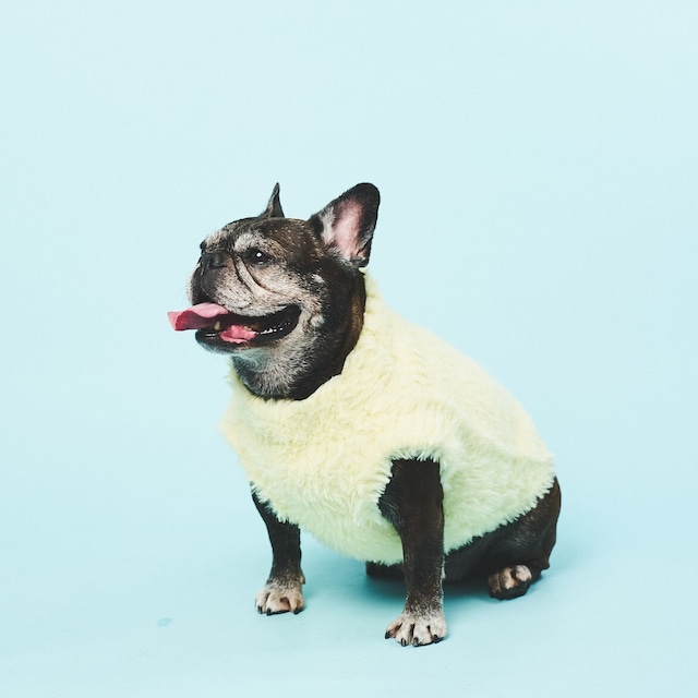 AIRY HUG TEDDY KNIT-YELLOW