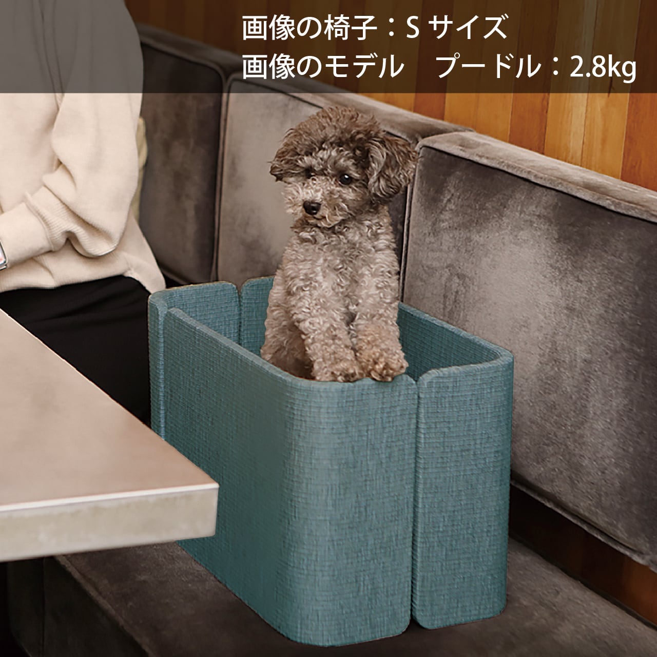 f&f 愛犬用ダイニングチェアー Sサイズ | Pet Salone