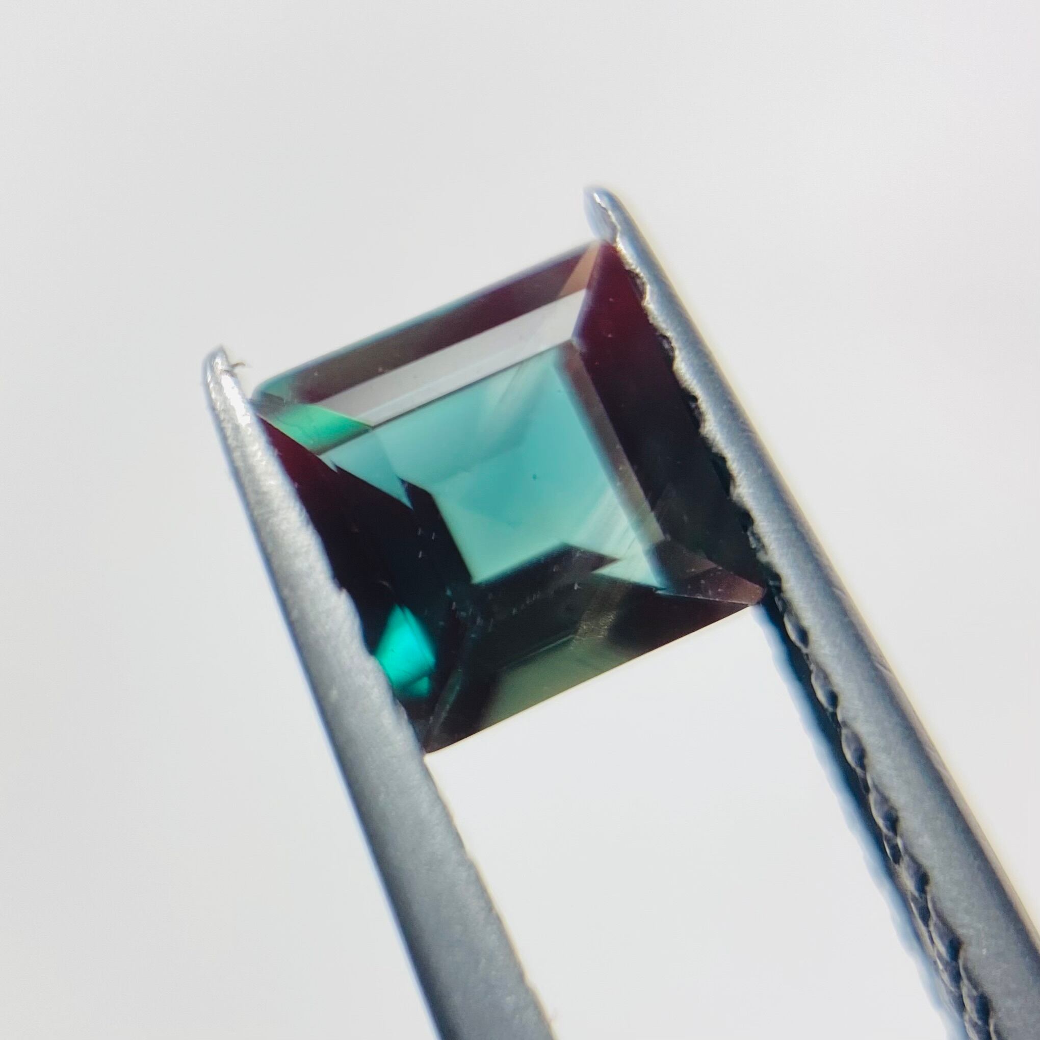 クリスマスカラー？やバイカラーアンデシン