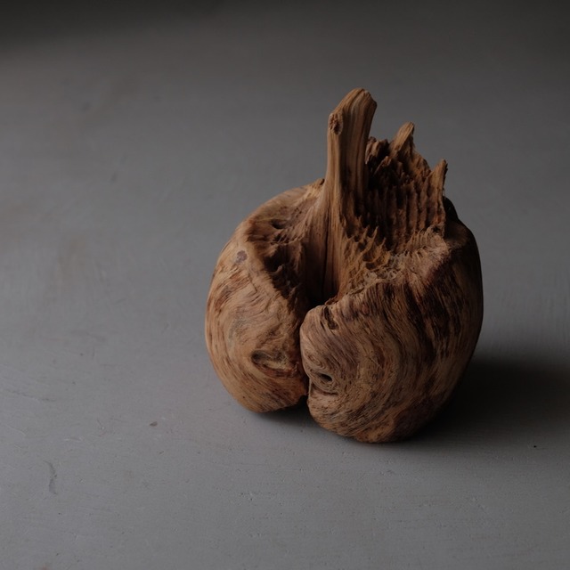Tree burl
