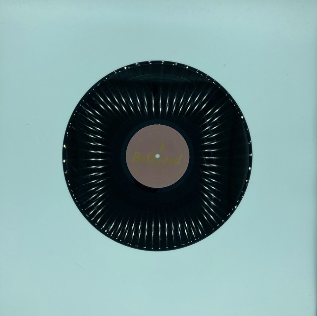 細野晴臣　　　HOSONO HOUSE