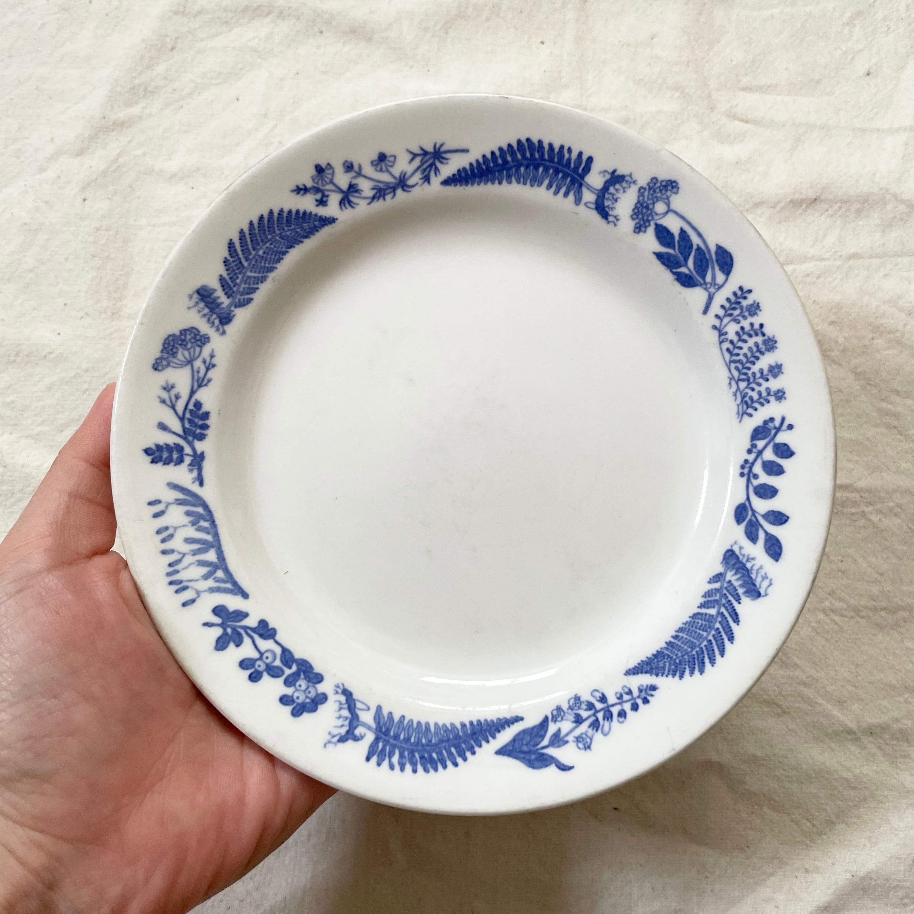 青い薬草模様のケーキ皿