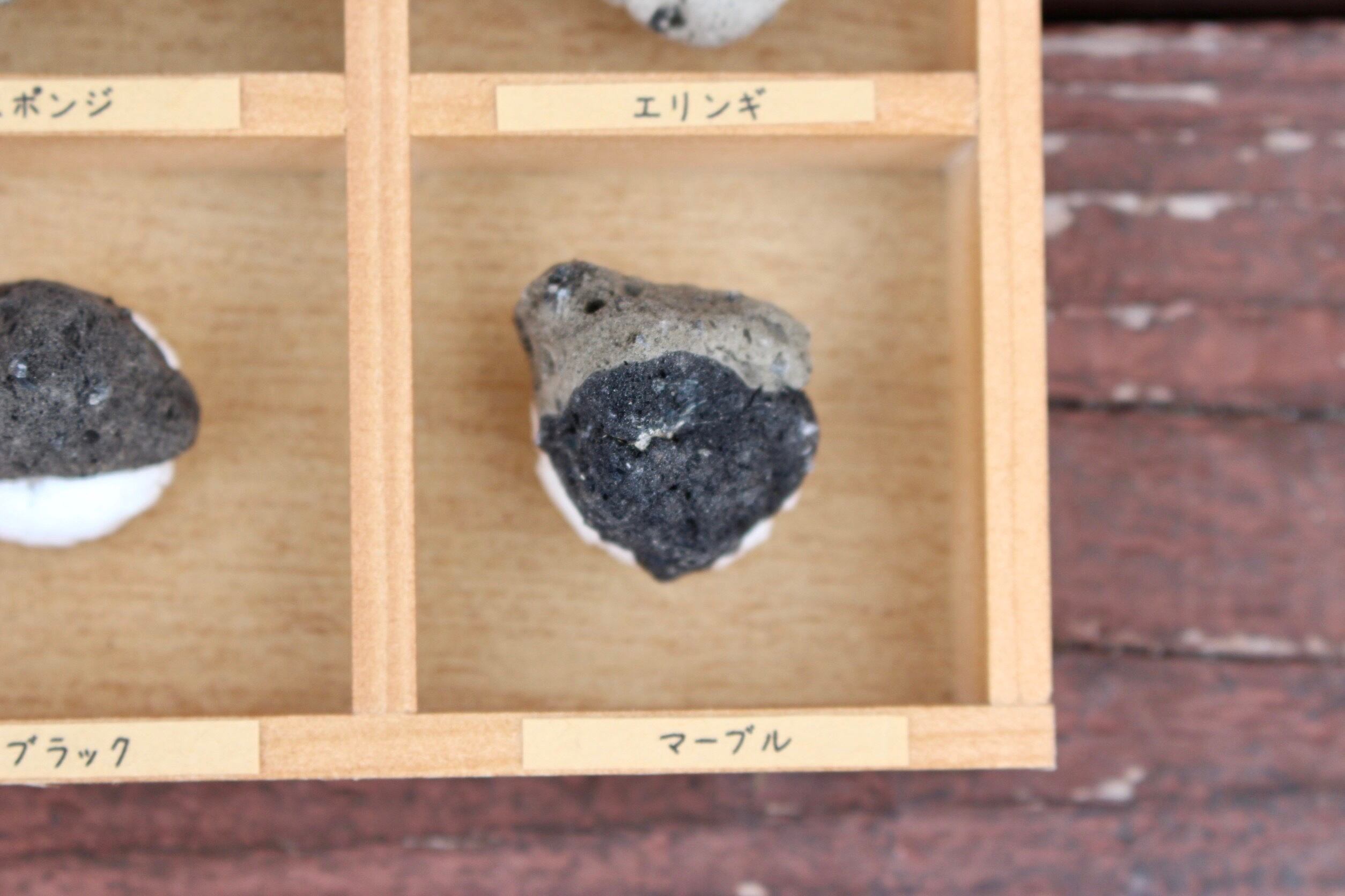 かわいい軽石コレクションBOX◇6種類◇福徳岡ノ場・2021噴火による