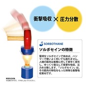 SORBO(ソルボ) DSISソルボサッカージュニア 2L P6JYA80122J2L ロイヤルブルー J2L