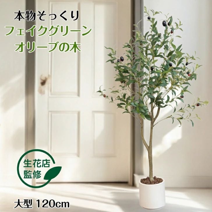 生花店監修】 フェイクグリーン オリーブ オリーブの木 リアル 人工
