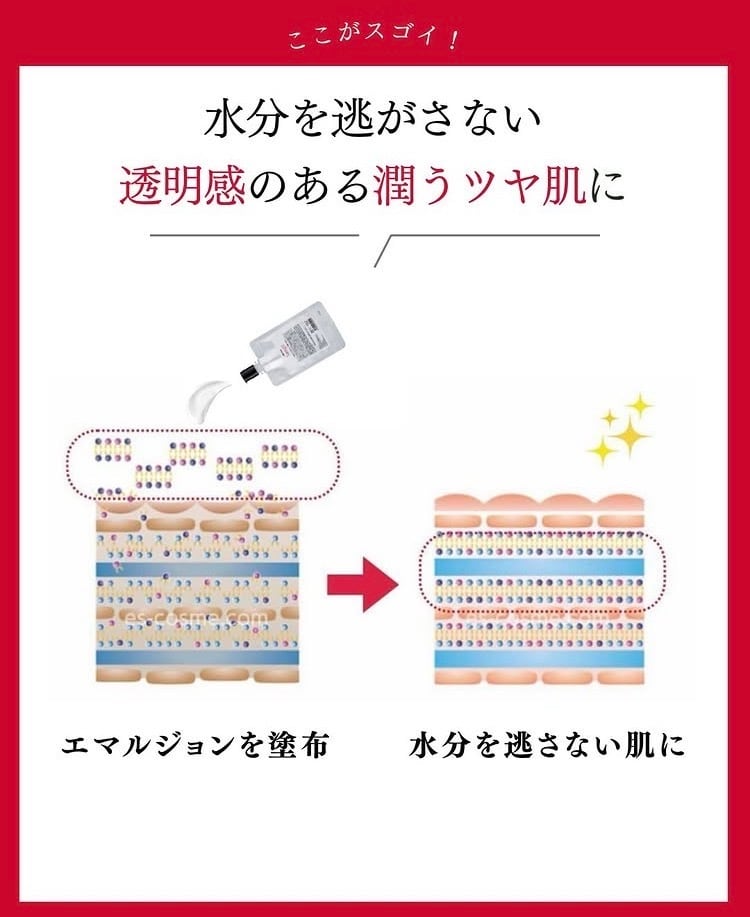 正規販売店】Sango（サンゴ）エマルジョン｜潤いを閉じ込め、ふっくら