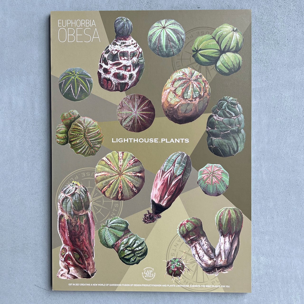 グッズ Goods | LIGHTHOUSE.PLANTS - 海外実生株のオベサなど輸入植物