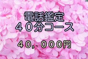 電話鑑定４０分コース(2024年1月1日〜)