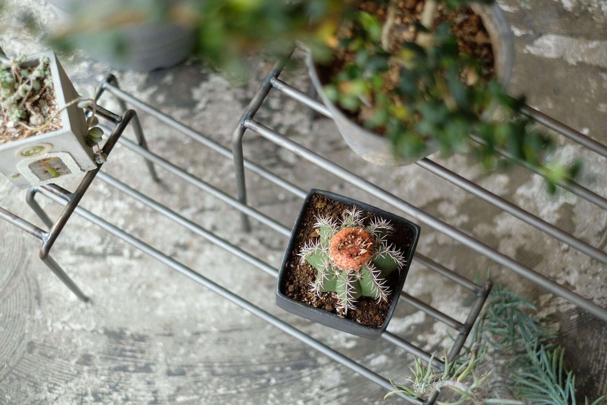 KNOP plant stands WIDE (S) | WEST VILLAGE TOKYO