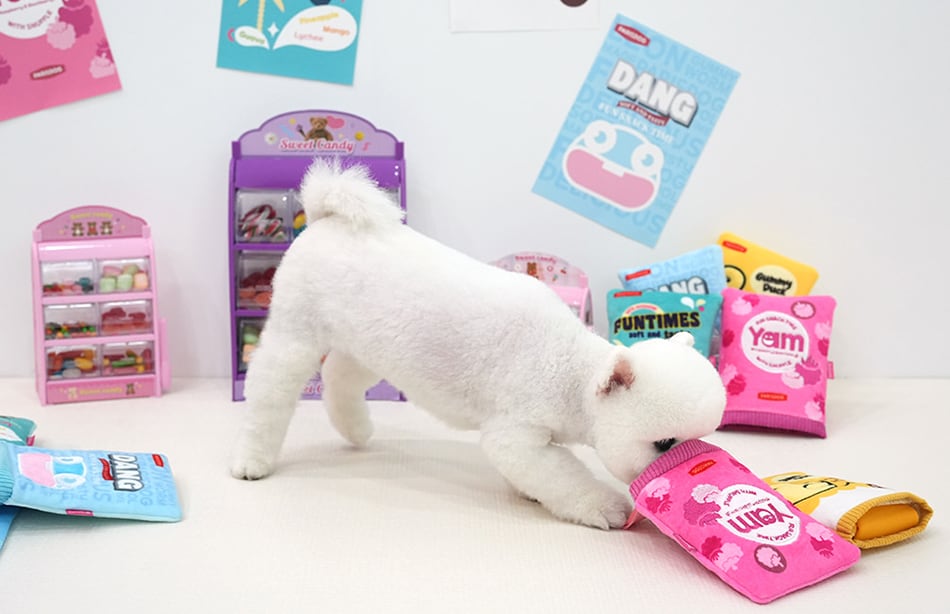 jellychu pocket toy / ペット 犬 おもちゃ カシャカシャ 知育玩具 ノーズワーク おやつ隠し 可愛い わんちゃん おもちゃ ストレス解消 toy16