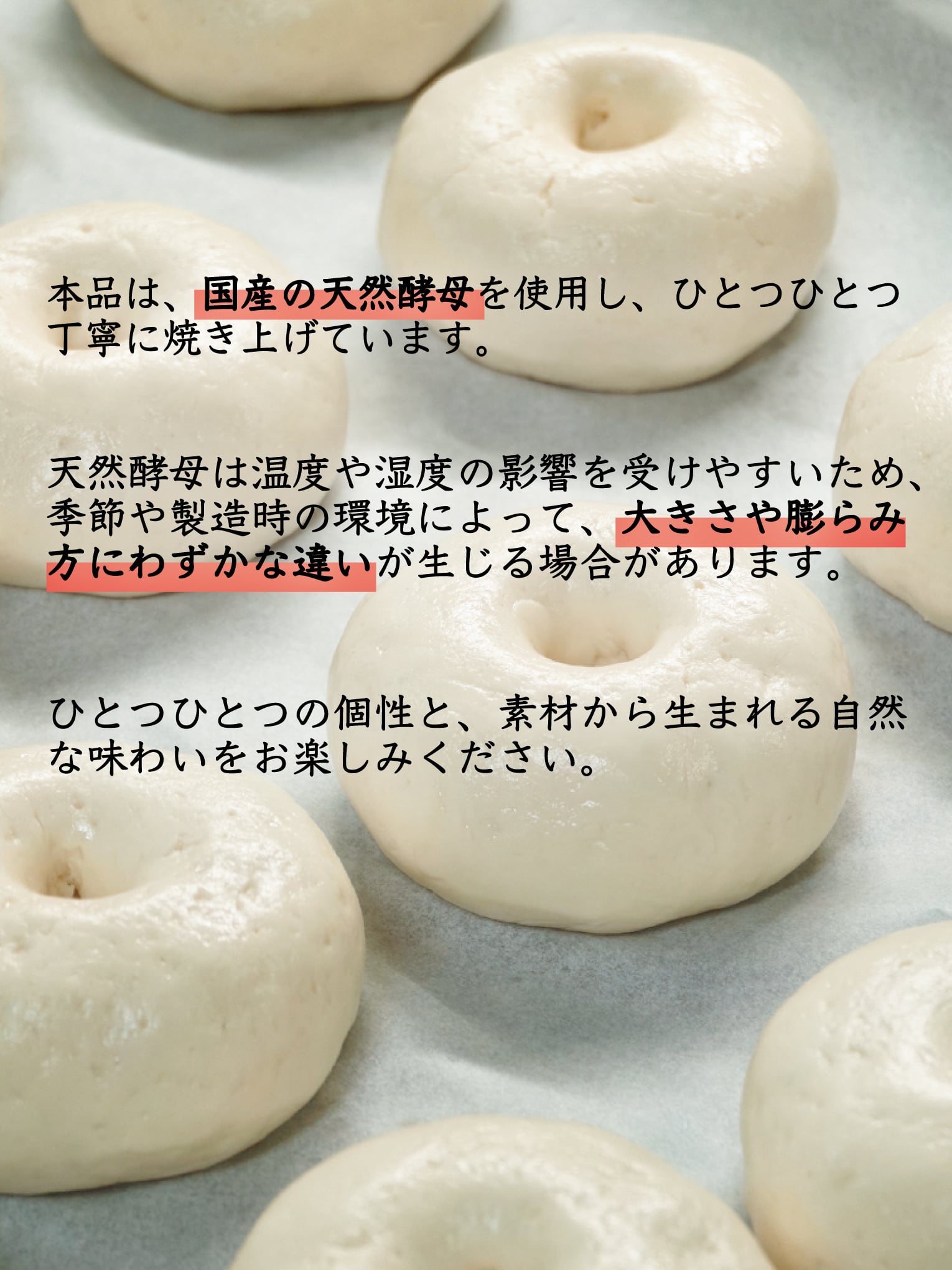 【送料無料】幻の米粉ベーグル グルテンフリー 岐阜県産米粉100% 白砂糖不使用 24個セット【プレーン×12、ダブルチョコ×6、ベリーベリー×6】