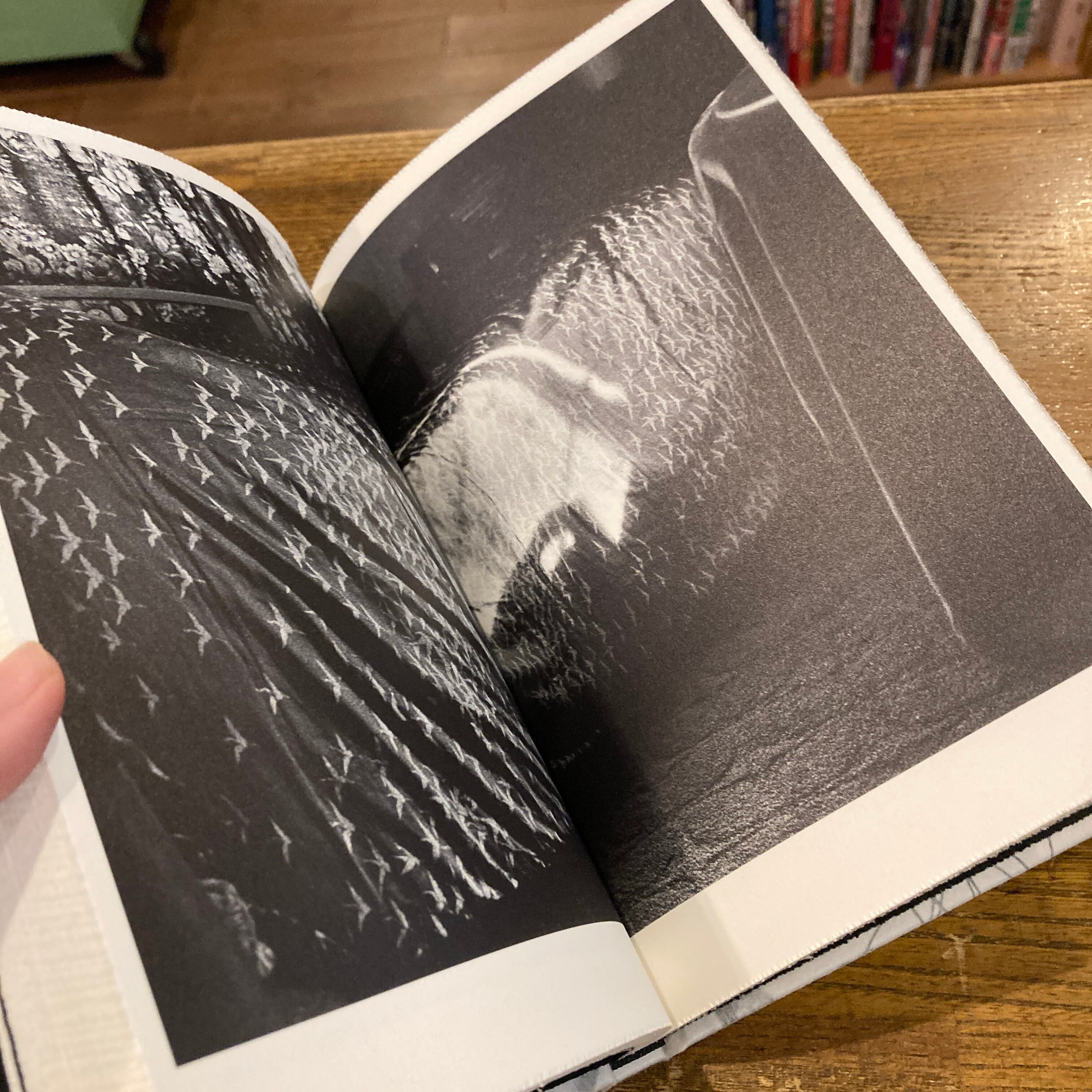 【Daido Moriyama: Dazai 】森山大道　★★未開封・新品・美本 Dazai / 森山大道 Daido Moriyama | 百年