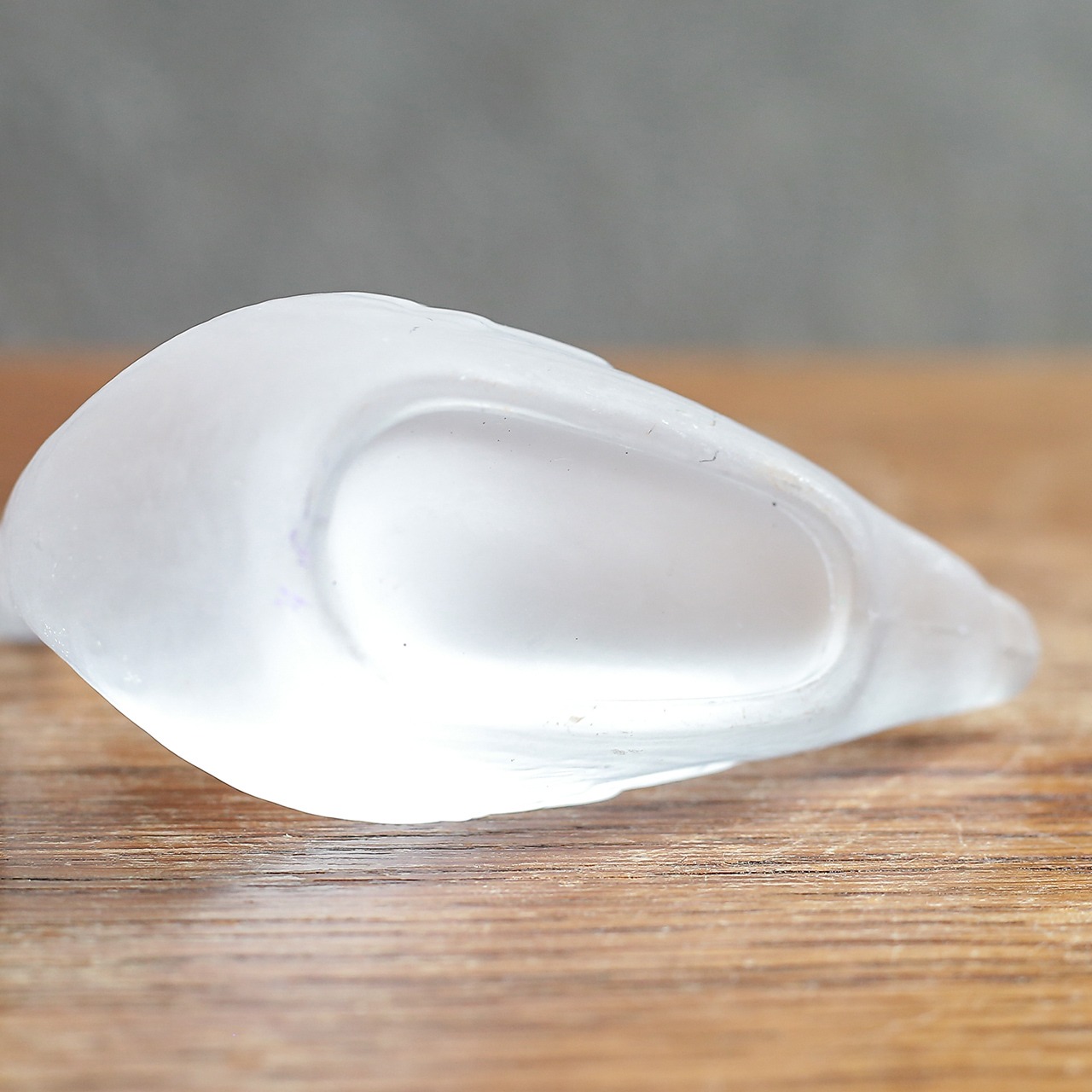 明日を見つめる、可憐なガラスの白鳥 1