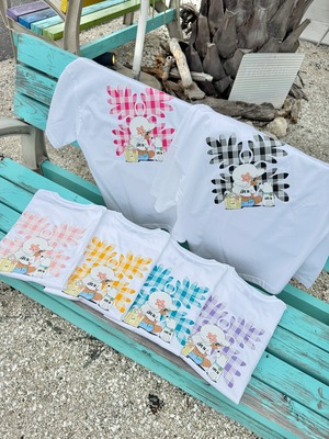 【mapuaコラボ】パラカチェック ラウアエTシャツ ¥6,990×tax