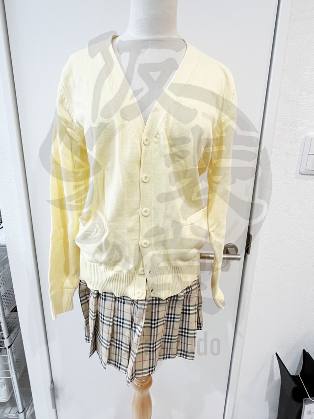 食戟のソーマ　薙切アリス　風衣装【カット済みウィッグ付き】