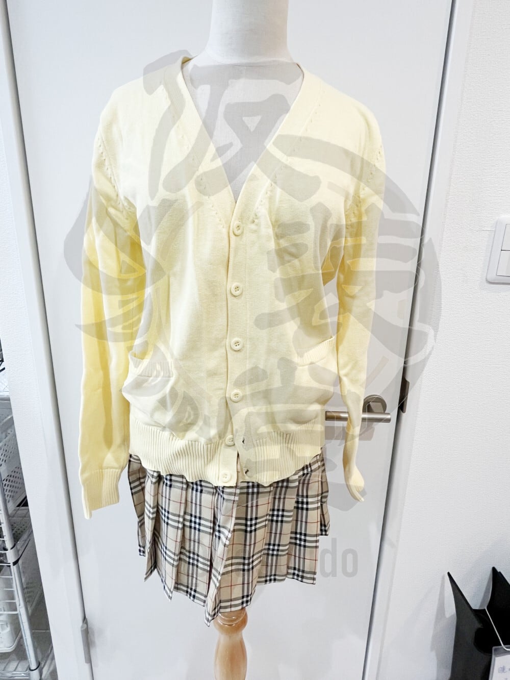 食戟のソーマ 薙切アリス 風衣装【カット済みウィッグ付き】