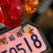 CRAZY CUB DUCK NumberBolt /CC110イエロー