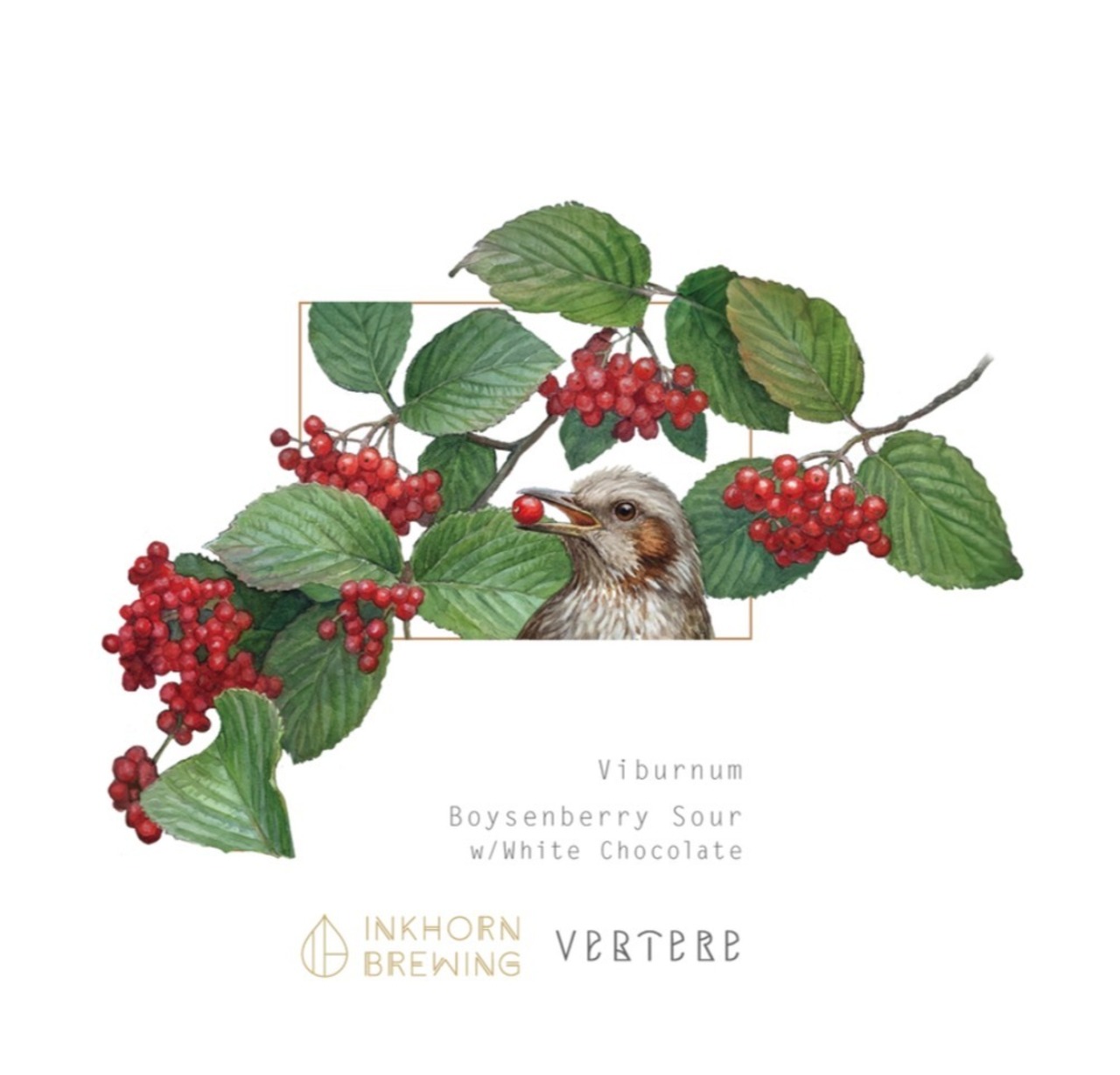 VERTERE×INKHORN collaboration【 Viburnum】sour ale
