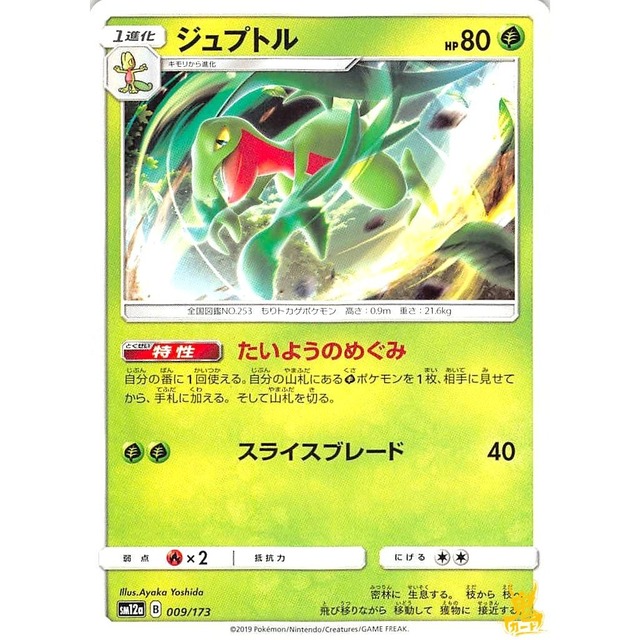 ジュプトル C/U sm12a B 009/173 たいようのめぐみ くさタイプ 状態：A ポケカ