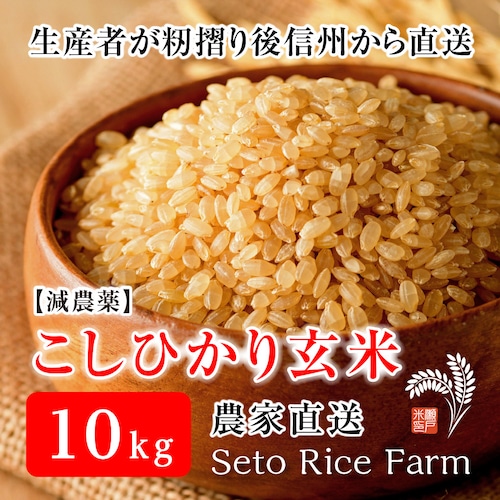 ［減農薬］玄米（こしひかり） 10kg　健康を考えるあなたへ籾摺り直後に発送します