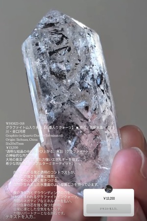 ⭔ お客様専用ページ ✦ akkomamarr