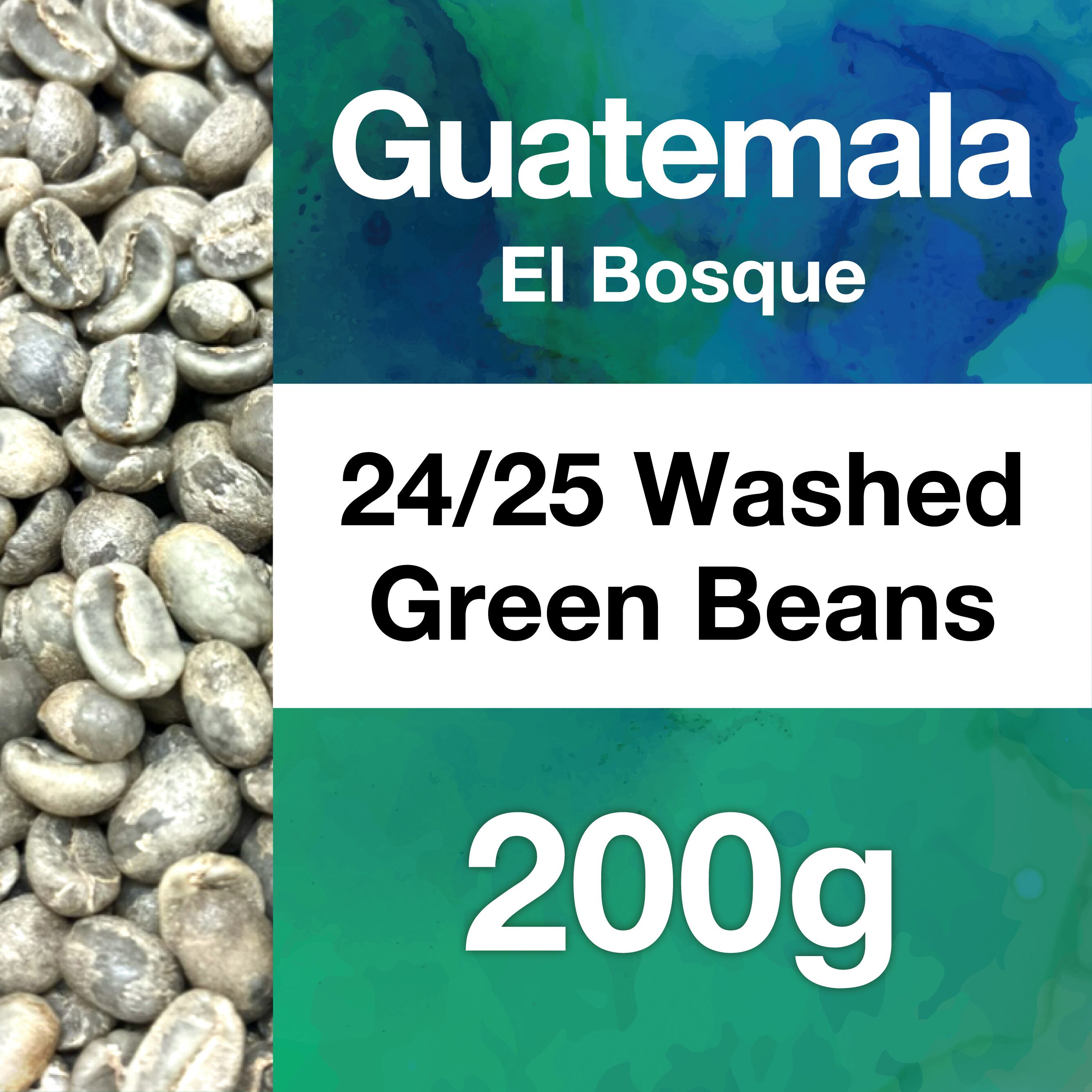 生豆 | TAPROOT coffee roasters