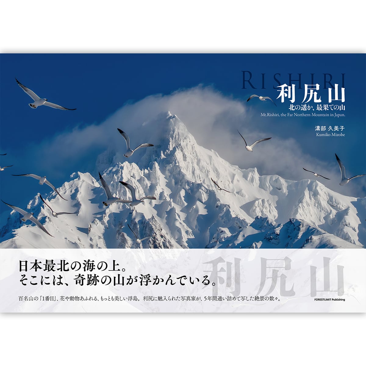 FORESTLIMIT shop