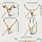 壁掛け装飾品 ４タイプ 羊壁掛け フェイクスカルフェイク 剥製動物の頭