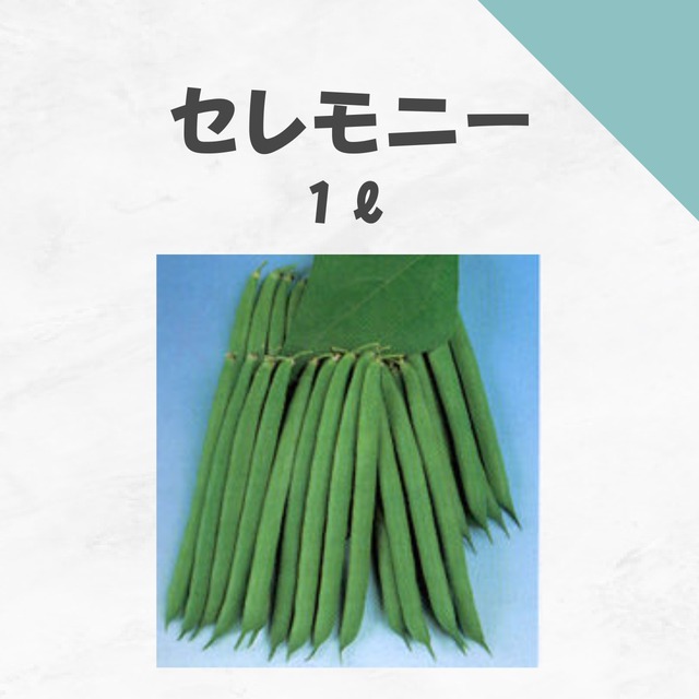 セレモニー　インゲン種子・1L
