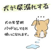 WICKEDPUP 犬用おむつライナー、100枚入 | 男の子のマナーベルトパッド | 女の子の生理用ナプキン | ペット用おしっこ吸収シート、Lサイズ