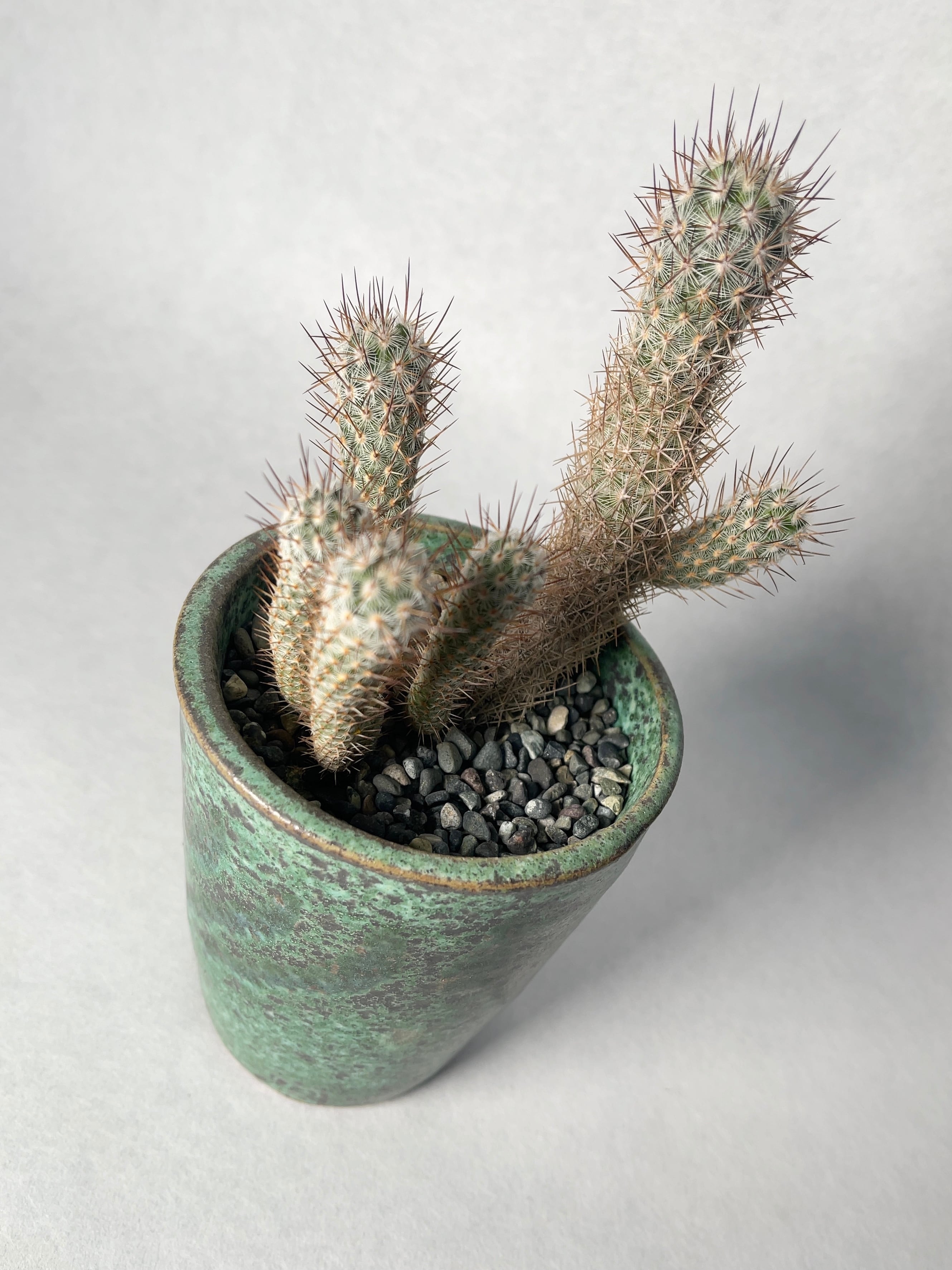 95d2baa3bdbe34174ed8fce80d9940