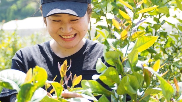【リニューアル!】野菜計画の"濃い味"野菜箱(*月1回配送)