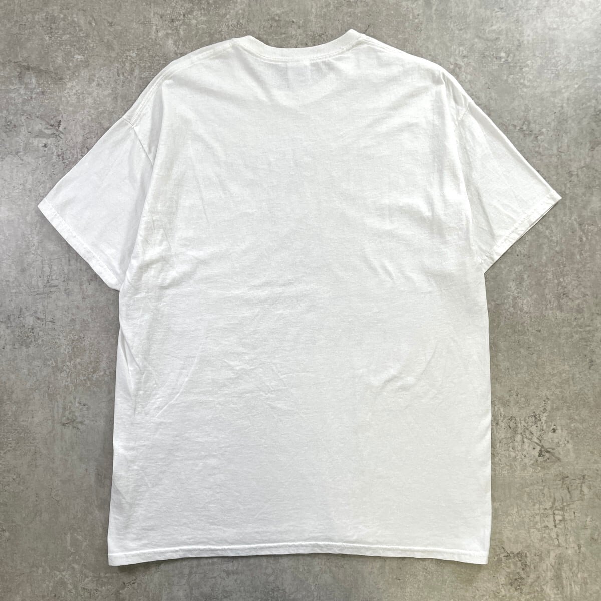 【THE ALEETE 】2014 .40周年アニバーサリー Tシャツ・白 ALLENTOEN ART FESTIVAL アートプリントTシャツ メンズXL 古着 2014