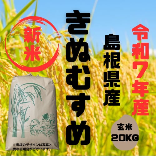 食品 新米 きぬむすめ 20キロ
