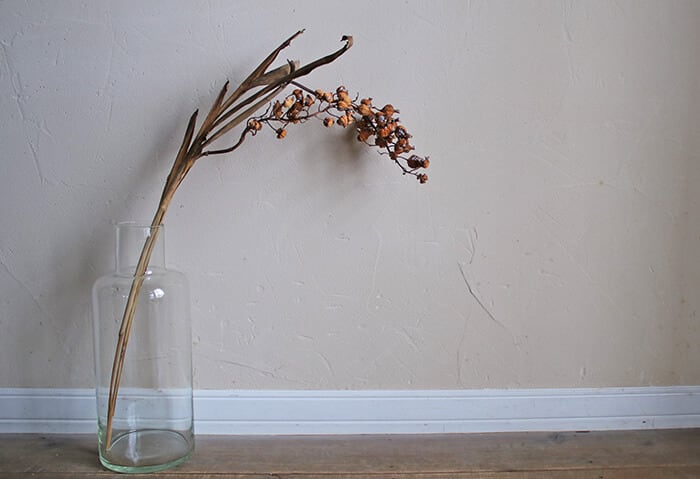 95db1b24b1f364a34215ddbfaaa427