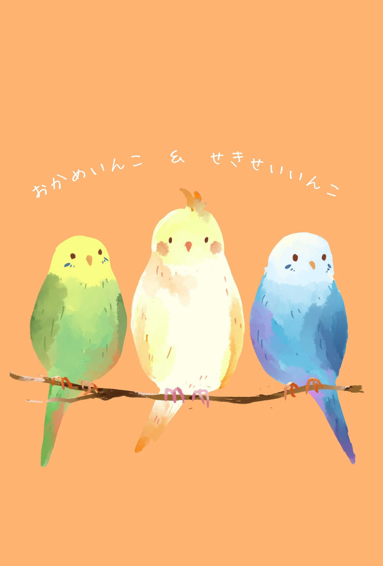インコちゃんず イラストポストカード2枚セット | PAY ID