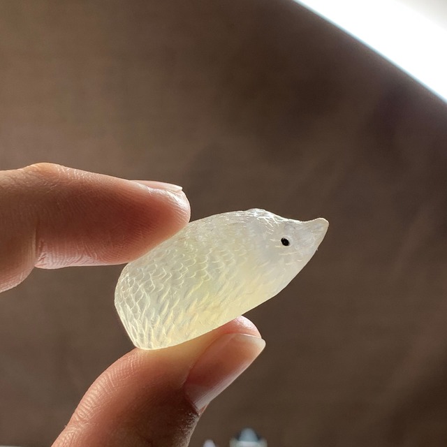 8.大家族フローライトハリネズミさんの住処・~ハリーさんの休憩所~