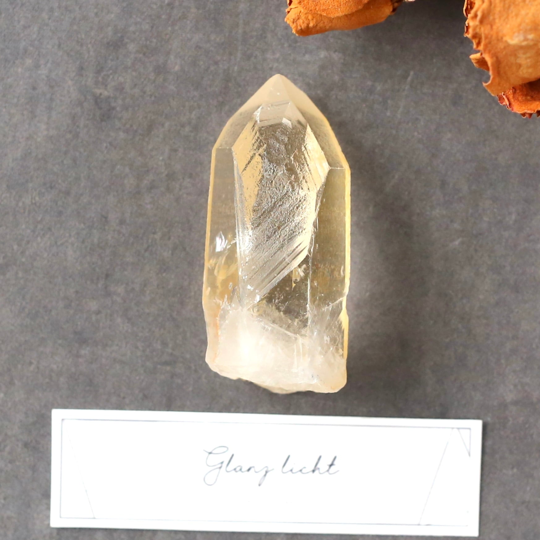 ピュアレイ レムリアンルーツ 原石 クリスタル 天然石 水晶 鉱物 一点