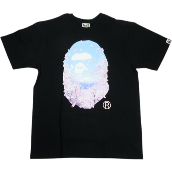 Tシャツ | STAY246