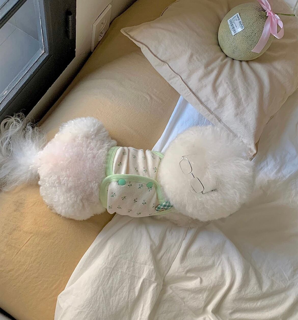 【seenii】pipo! crop top (Green)